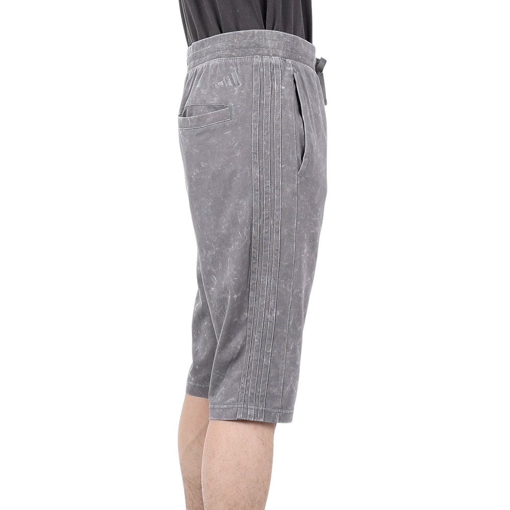 アディダス（adidas）（メンズ）M3 STWASH ショーツ ハーフパンツ VD049-KA3848