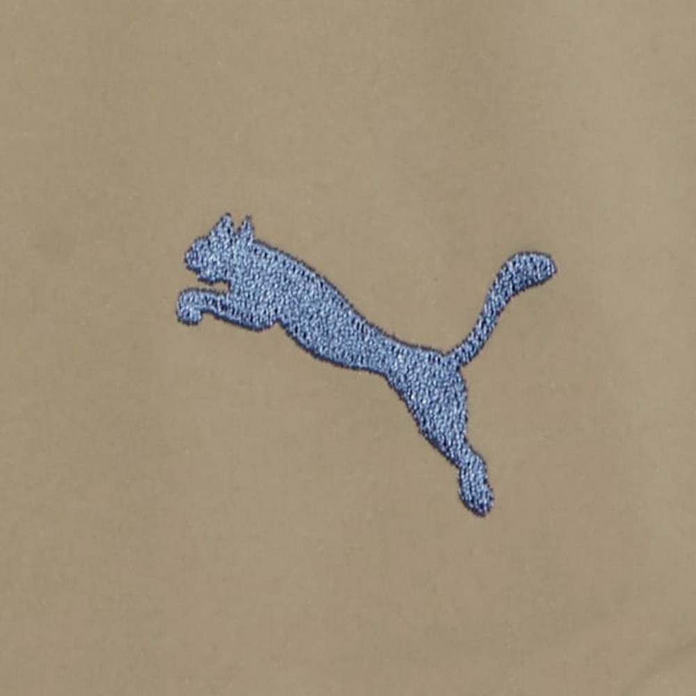 プーマ（PUMA）（メンズ）オータム ウーブン カーゴパンツ 690141 55 BEG