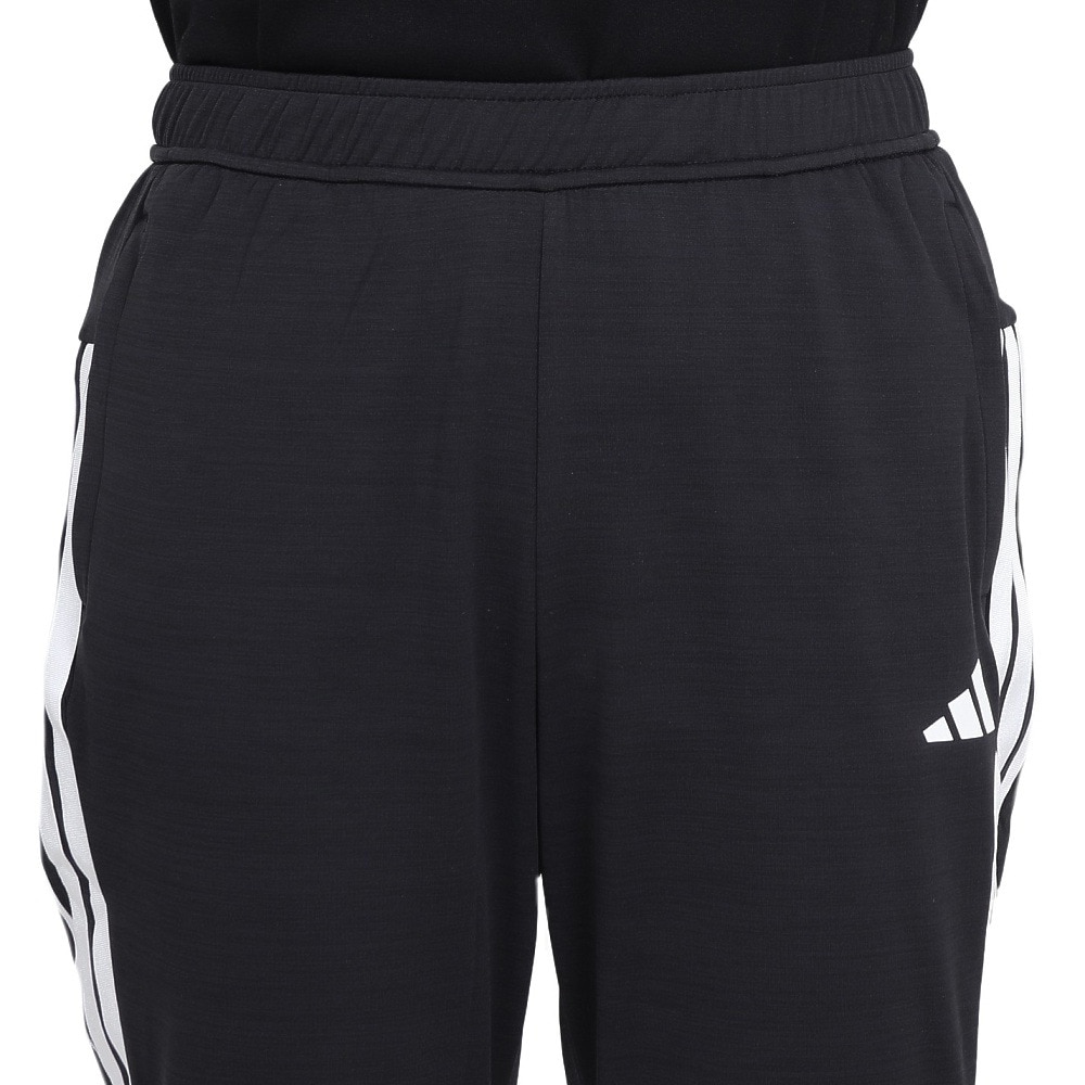 アディダス（adidas）（レディース）ニット DL テーパード アンクルパンツ KQD86-JP0018