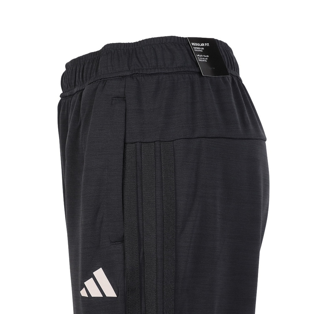 アディダス（adidas）（レディース）ACTV KN DLアンクルパンツ VU093-KA0983