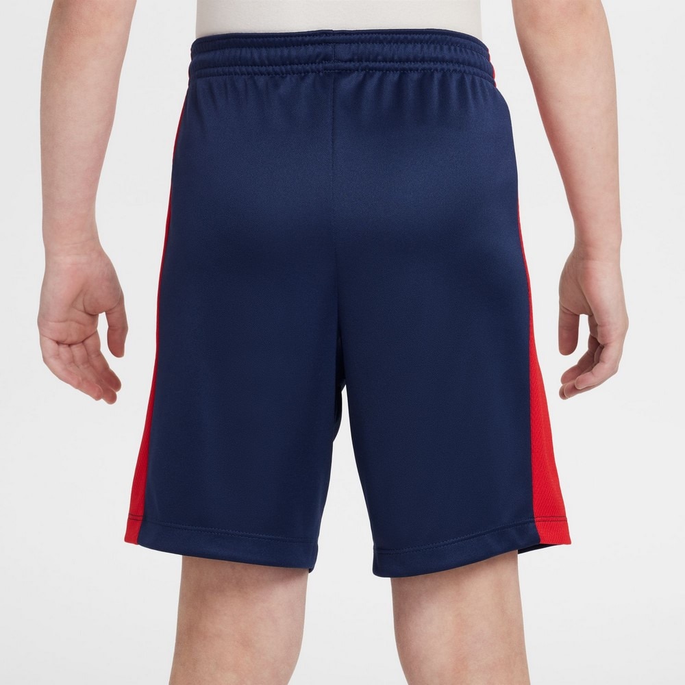 ナイキ（NIKE）（キッズ）ジュニア ドライフィット TRPHY 23 ショートパン GX HF8081-410
