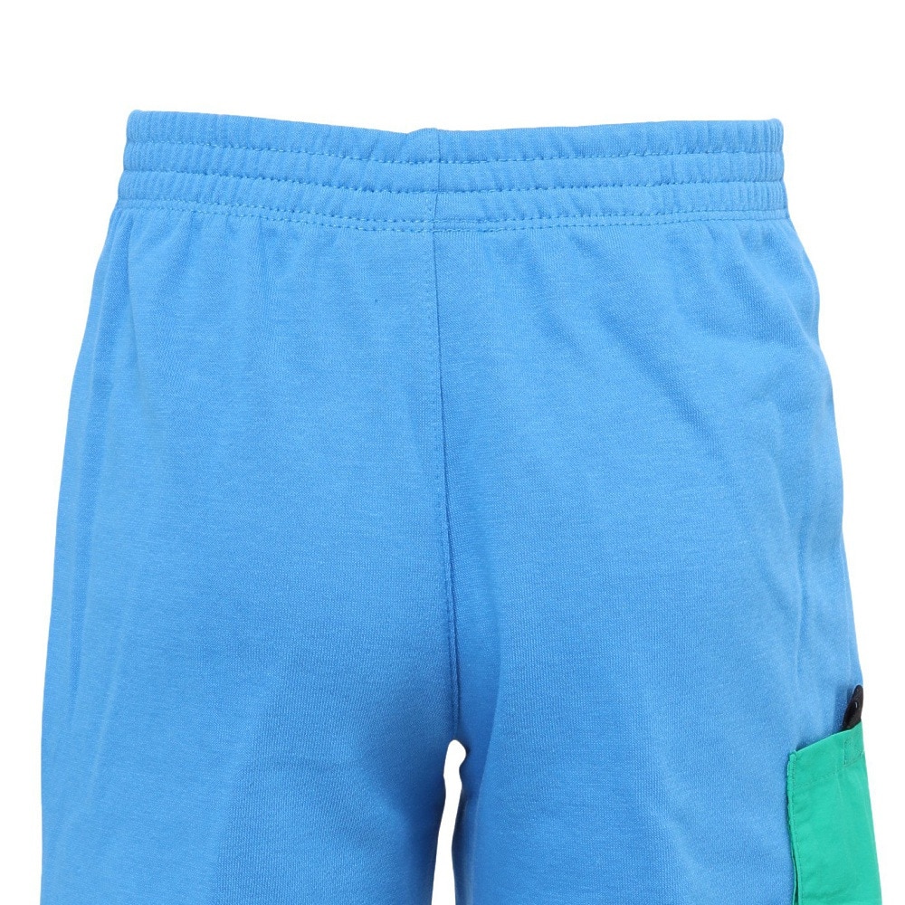 ナイキ（NIKE）（キッズ）ボーイズ NSW FT ショートパンツ 86L691-B68