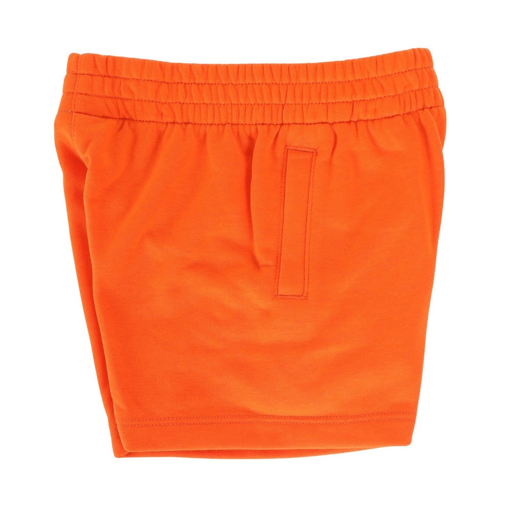 ナイキ（NIKE）（キッズ）トドラー NKN FT HBR ショートパンツ 76L100-N1Y