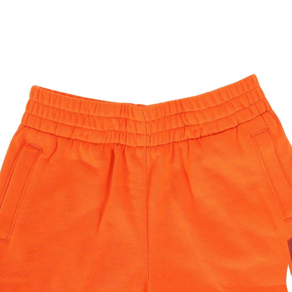 ナイキ（NIKE）（キッズ）トドラー NKN FT HBR ショートパンツ 76L100-N1Y