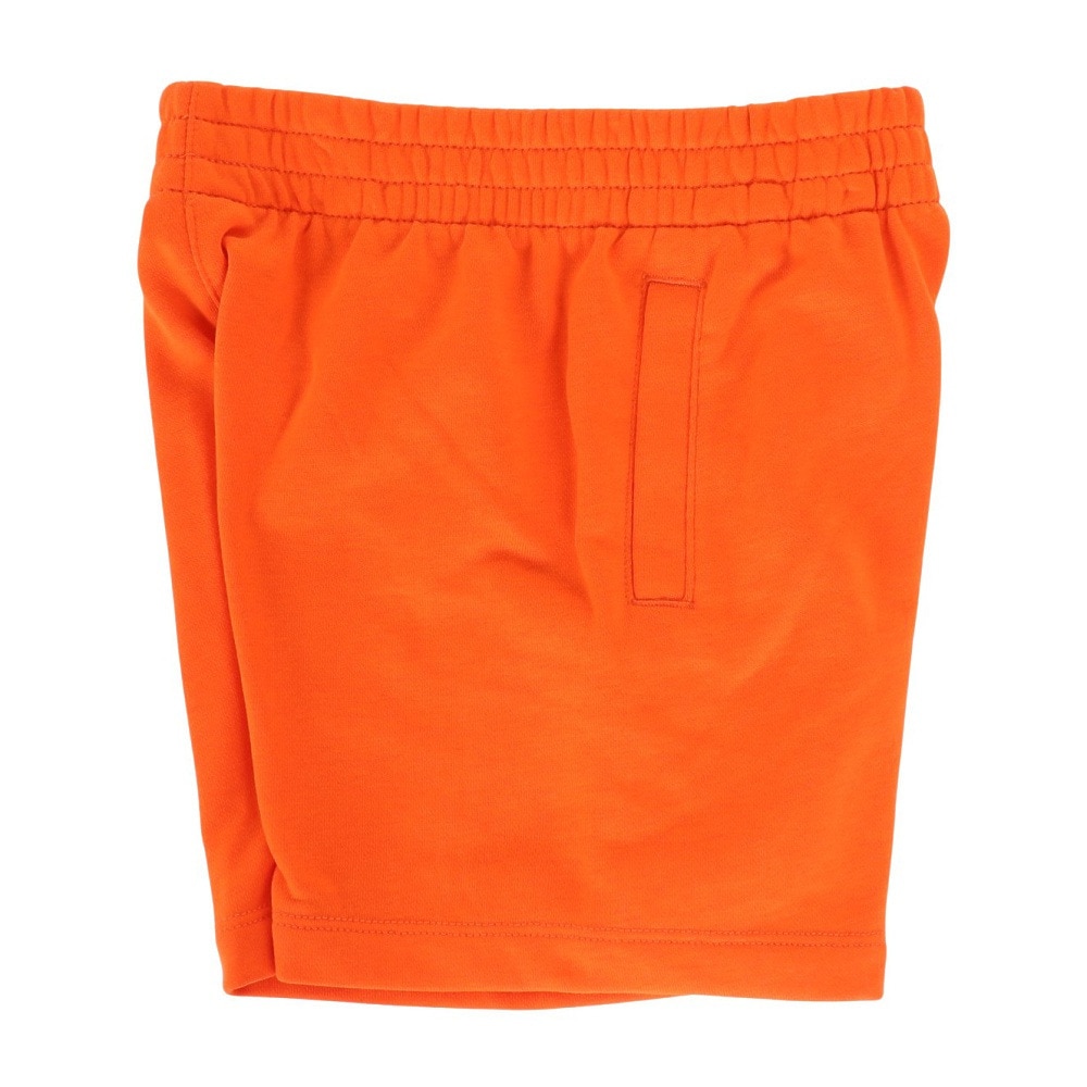 ナイキ（NIKE）（キッズ）キッズ NKN FT HBR ショートパンツ 86L100-N1Y