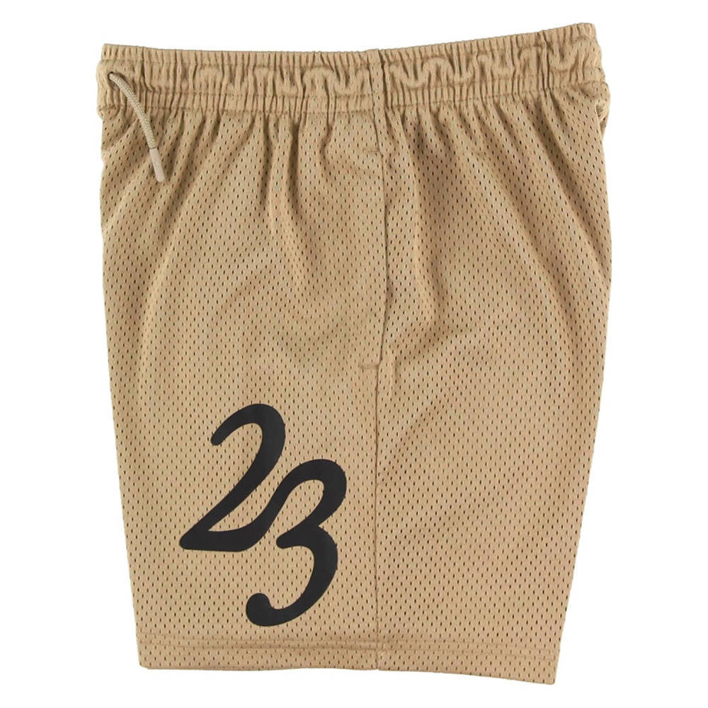 ジョーダン（JORDAN）（キッズ）ジュニア MJ MVP メッシュショートパンツ 95D608-J34