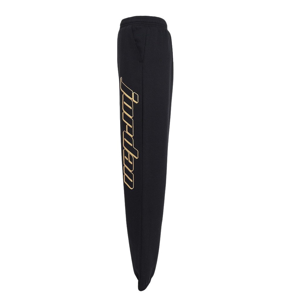 ジョーダン（JORDAN）（キッズ）ロングパンツ マウンテンサイド パンツ 95F341-023
