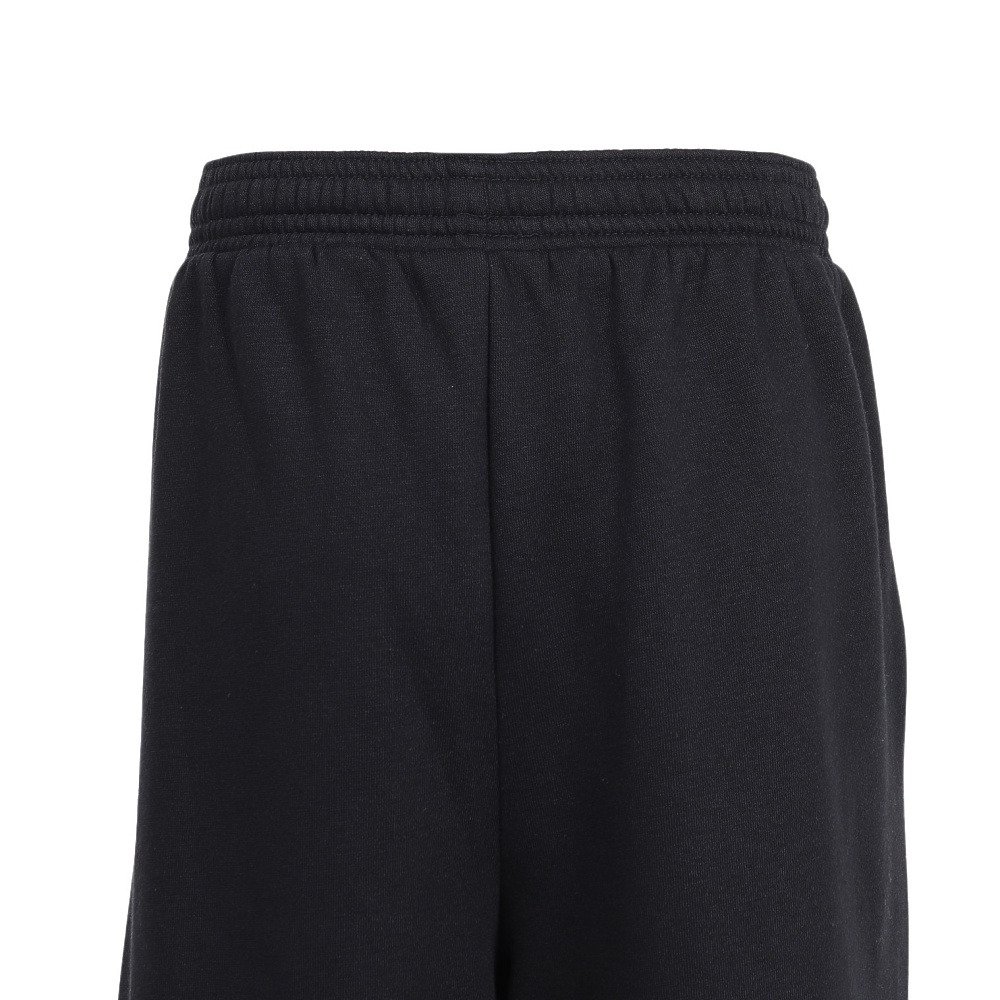ジョーダン（JORDAN）（キッズ）ロングパンツ マウンテンサイド パンツ 95F341-023