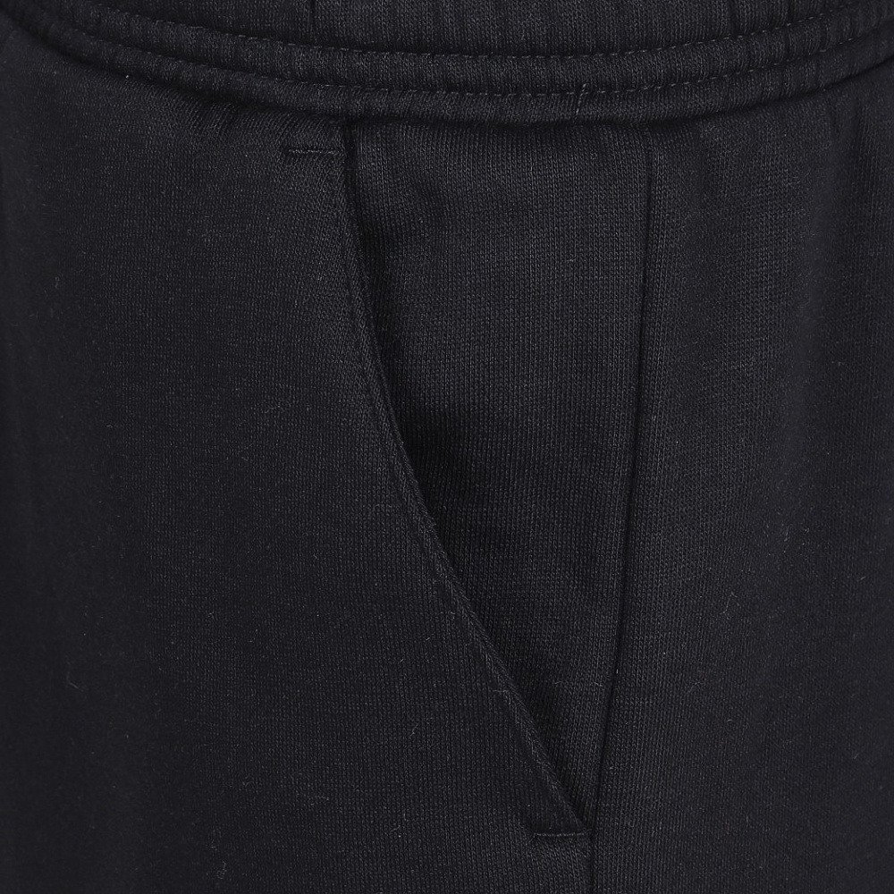 ジョーダン（JORDAN）（キッズ）ロングパンツ マウンテンサイド パンツ 95F341-023