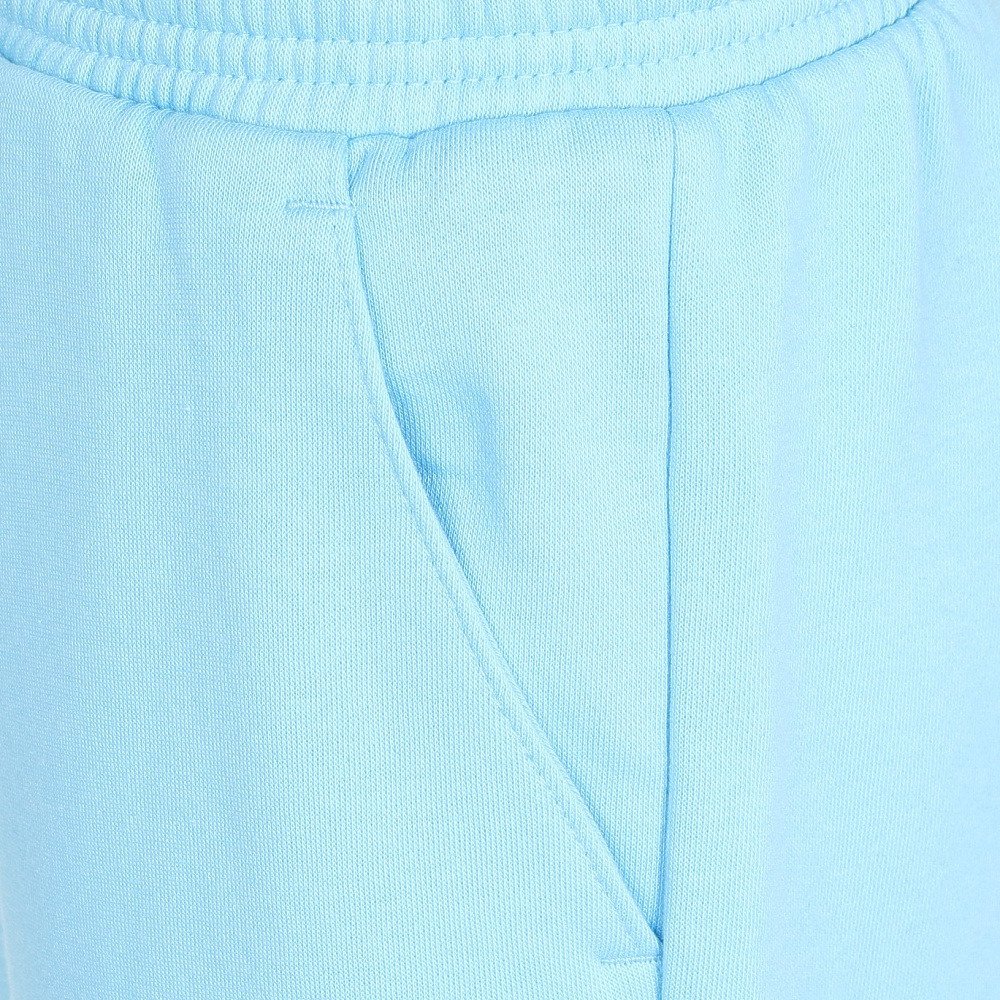 ジョーダン（JORDAN）（キッズ）ロングパンツ マウンテンサイド パンツ 95F341-U9G
