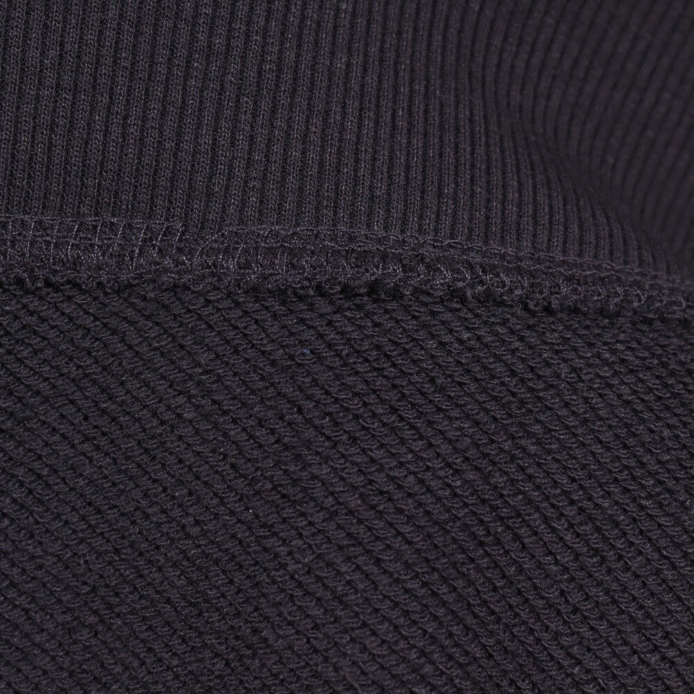 ハーレー（HURLEY）（メンズ）BIG LOGO スウエットクルーネック MFL2200004-CGY