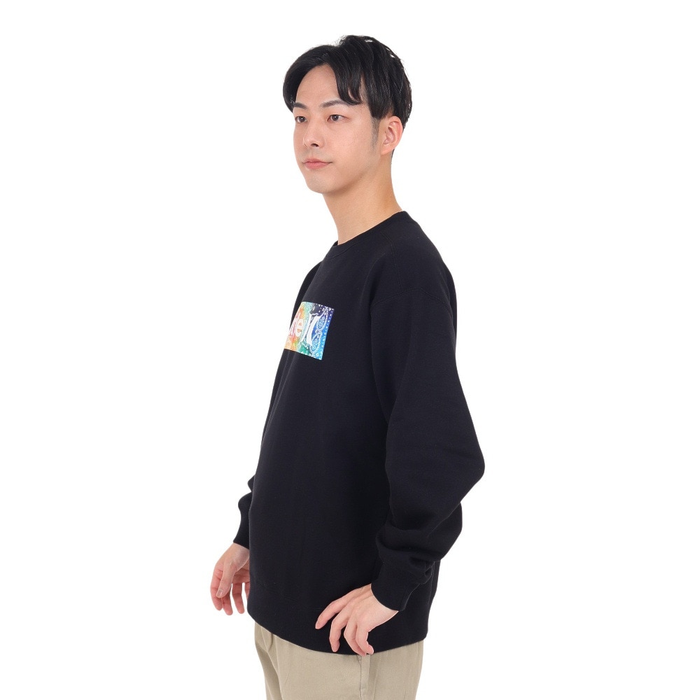 ハーレー（HURLEY）（メンズ）ボックス ロゴ クルースウェット 23MFL2200001-BLK