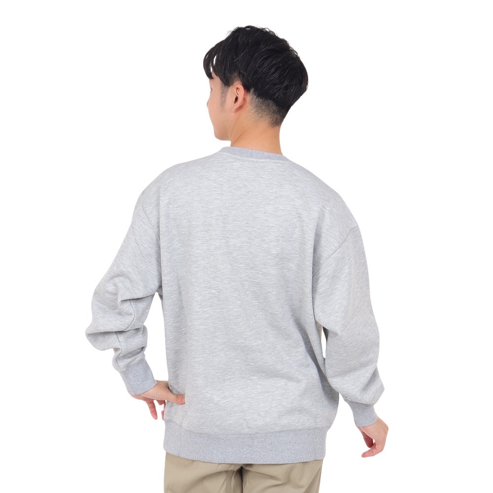 ハーレー（HURLEY）（メンズ）ボックス ロゴ クルースウェット 23MFL2200001-GRHT