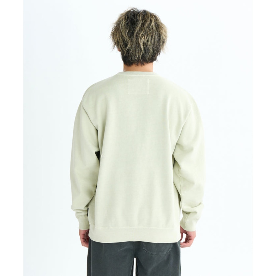 クイックシルバー（Quiksilver）（メンズ）PG DNA クルーネックスウェット プルオーバー 25FWQPO254012PST