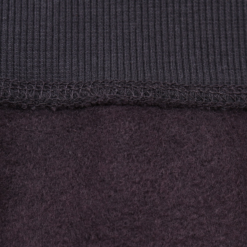 ハーレー（HURLEY）（メンズ）ARC LOGO スウエットフーディー MFF2200001-CGY
