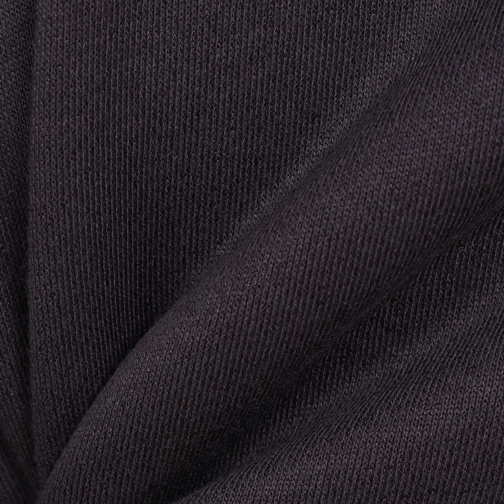 ハーレー（HURLEY）（メンズ）ARC LOGO スウエットフーディー MFF2200001-CGY