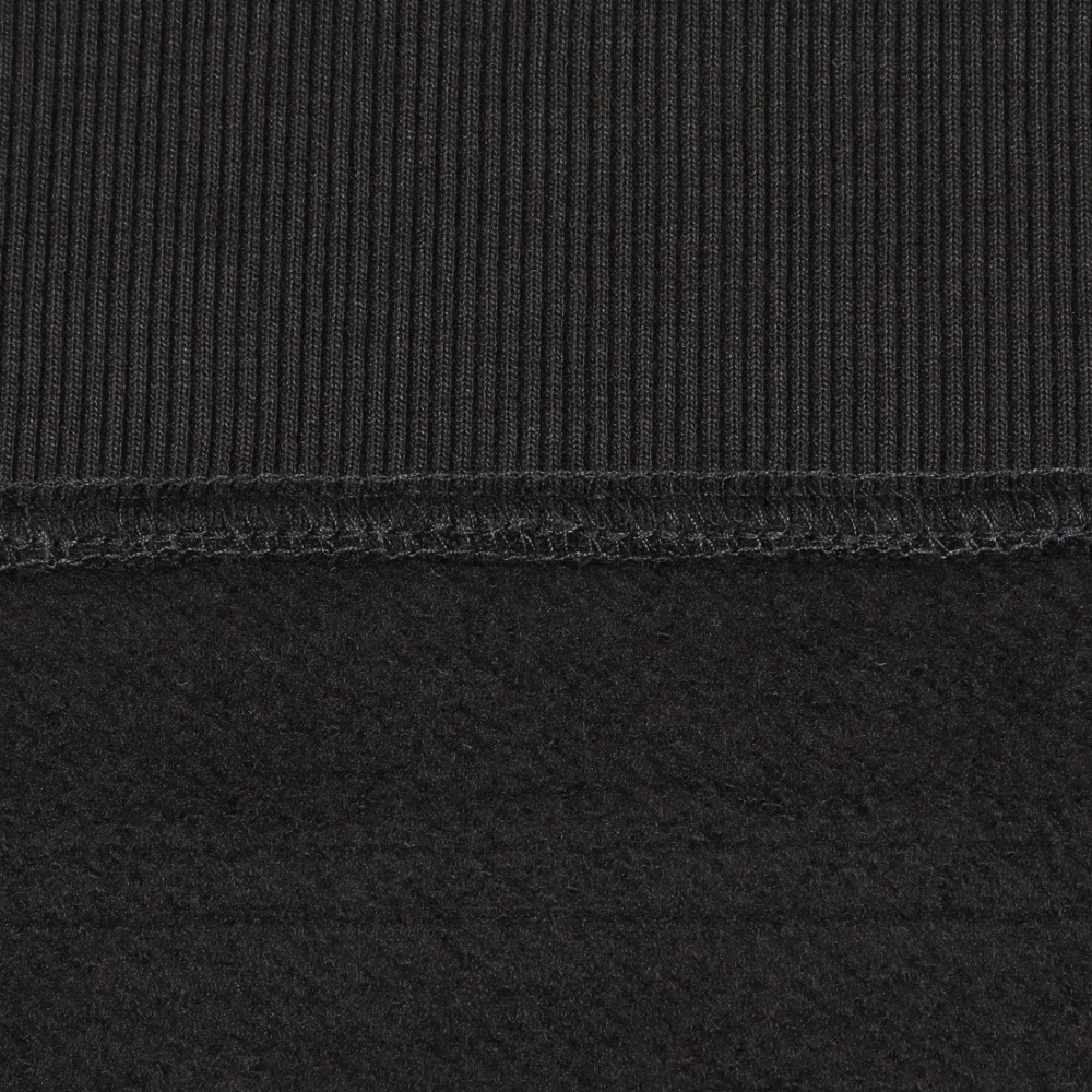 ルーカ（RVCA）（メンズ）BIG RVCA HD パーカー BE042041 PTK