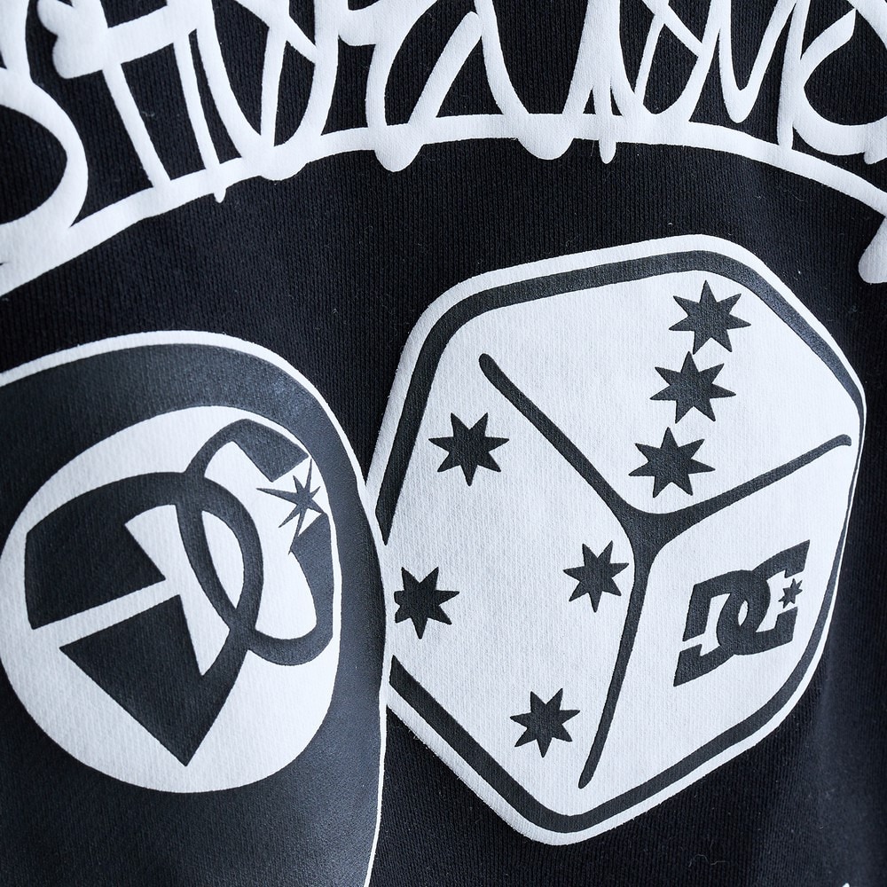ディーシーシューズ（DC SHOES）（メンズ）8 BALL&DICE PH フーディ 24FWDPO244071BLK