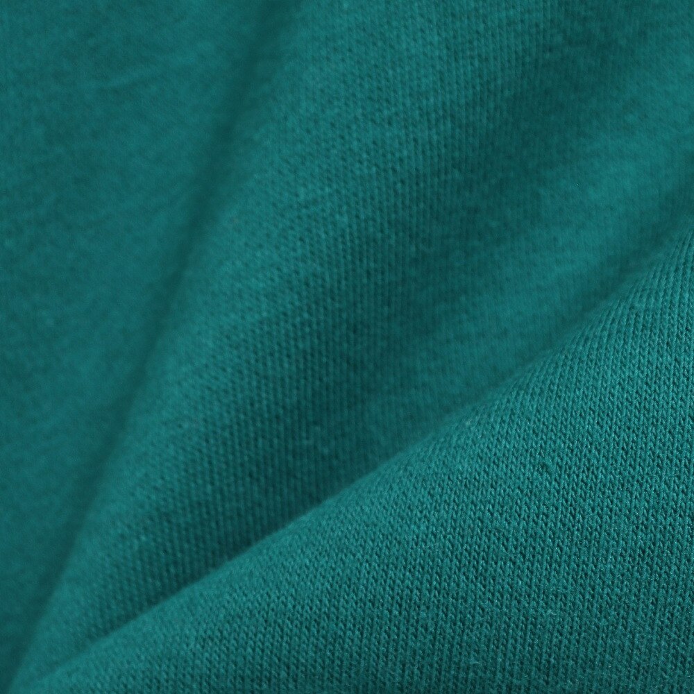 オーシャンパシフィック（Ocean Pacific）（メンズ）ロゴジップパーカー 533006GRN