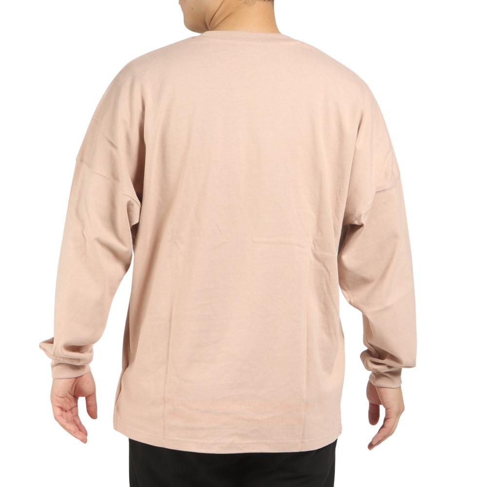 RVCA（メンズ）長袖 ロンT シンプル BIG RVCA LT ロングスリーブ ピンク BC042064 PAP