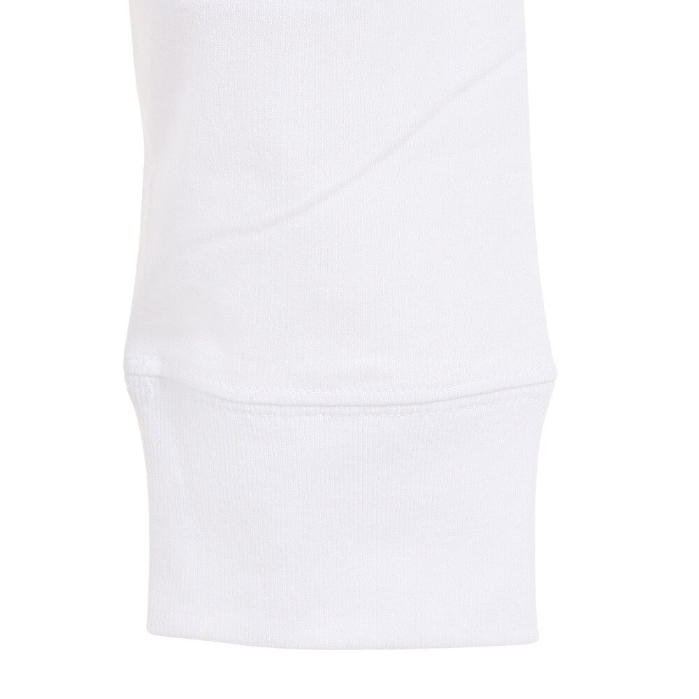 ビラボン（BILLABONG）（メンズ）BACK WAVE 長袖Tシャツ BC012051 WHT