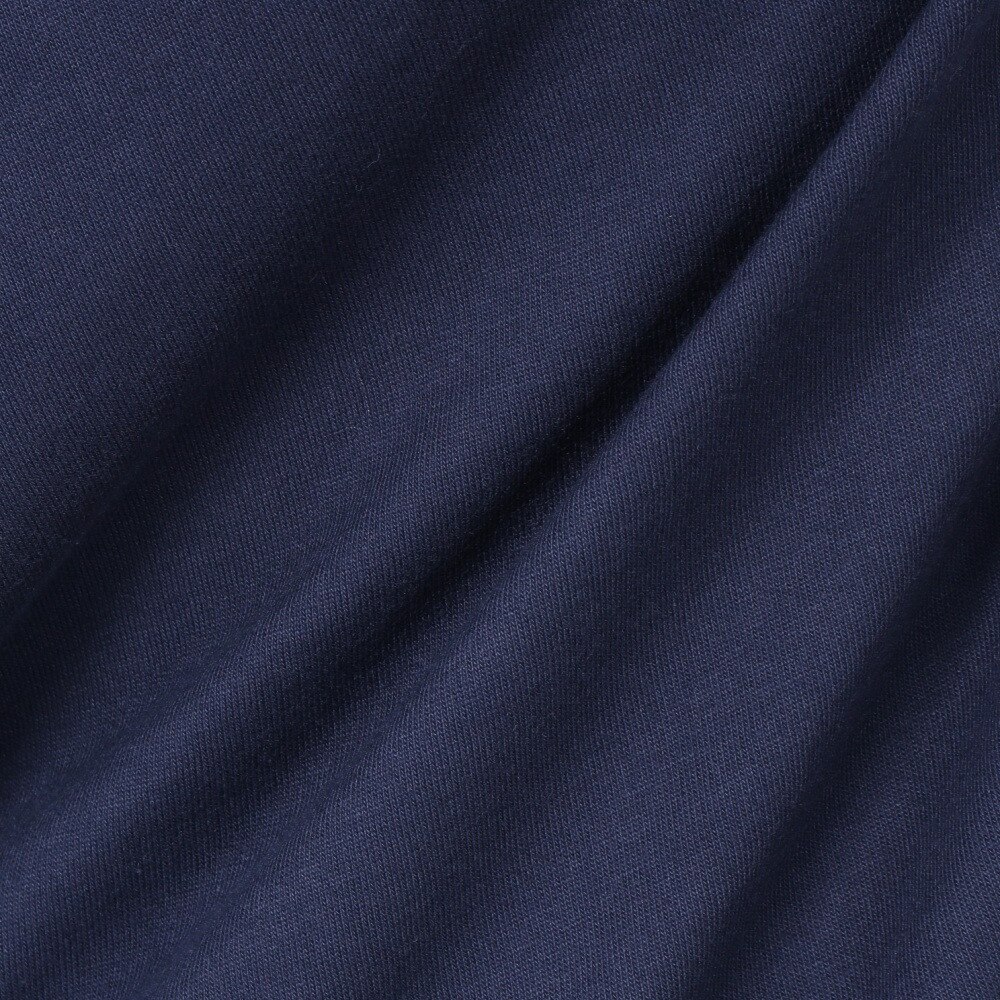 セッションズ（SESSIONS）（メンズ）90S ロゴ長袖Tシャツ 227189 NVY