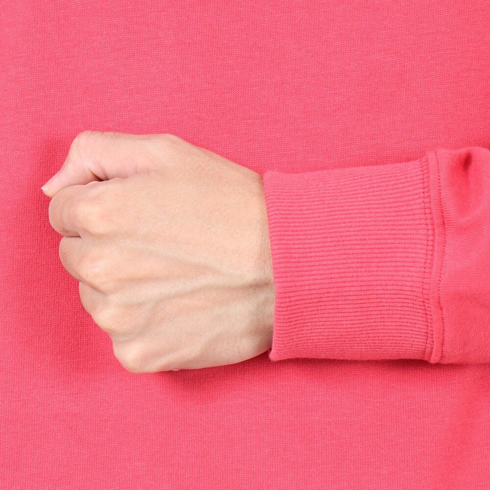 セッションズ（SESSIONS）（メンズ）90S ロゴ長袖Tシャツ 227189 RED