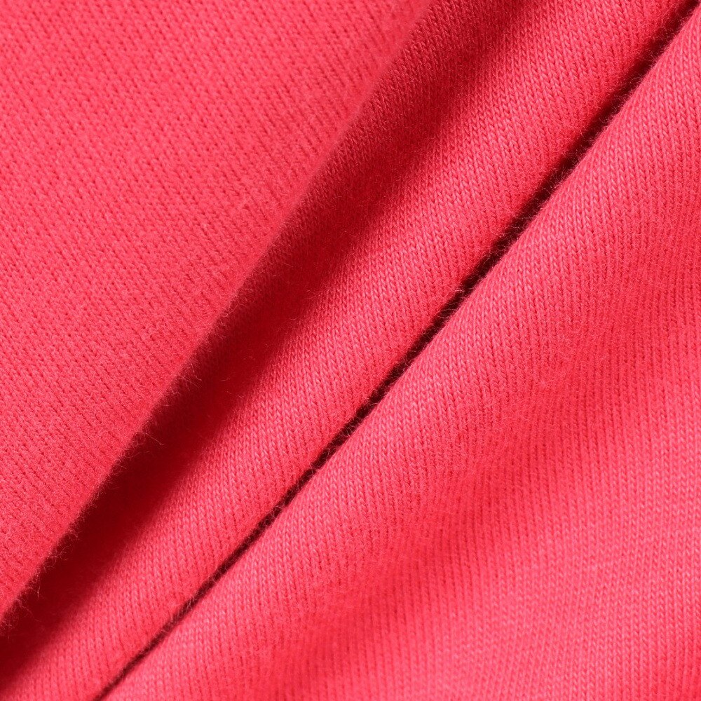 セッションズ（SESSIONS）（メンズ）90S ロゴ長袖Tシャツ 227189 RED