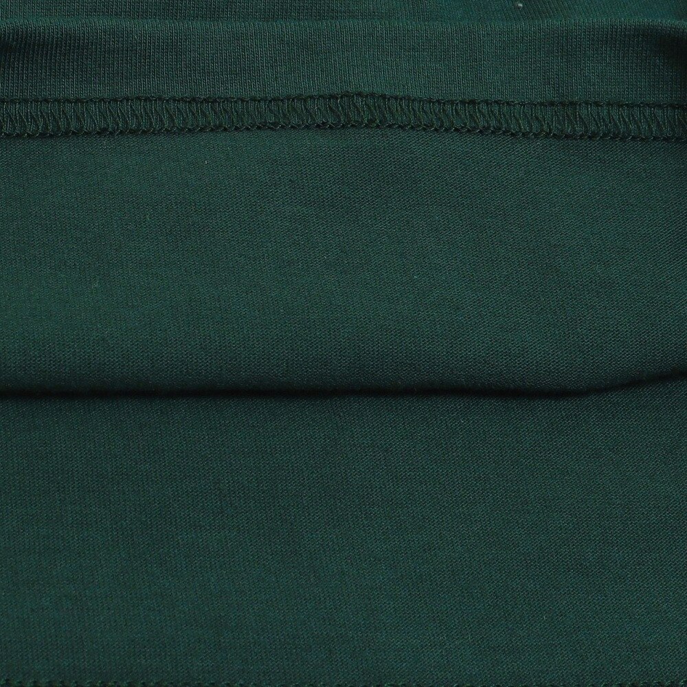 ボルコム（Volcom）（メンズ）SKATE VITALS LONG SLEEVE TEE CEDAR GREEN 22 AF632209 CDG