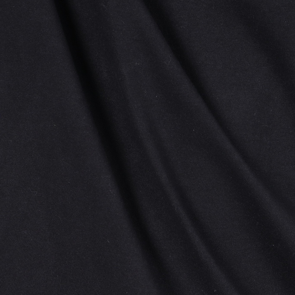 ディーシーシューズ（DC SHOES）（メンズ）長袖Tシャツ メンズ AUTHENTIC OBLIQUE ロゴ 23FWDLT234064BLK