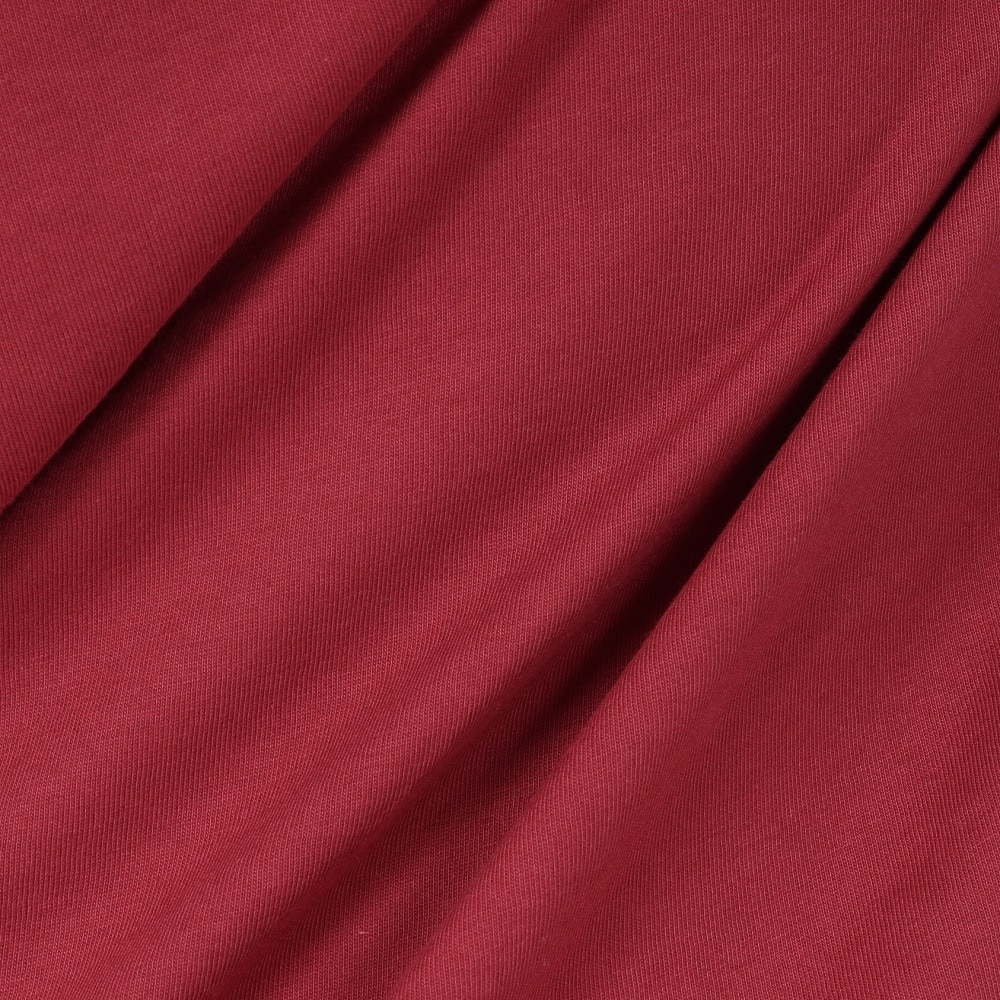 スライド（SLYDE）（メンズ）LAYERD 長袖Tシャツ SL23FWM-APP011RED