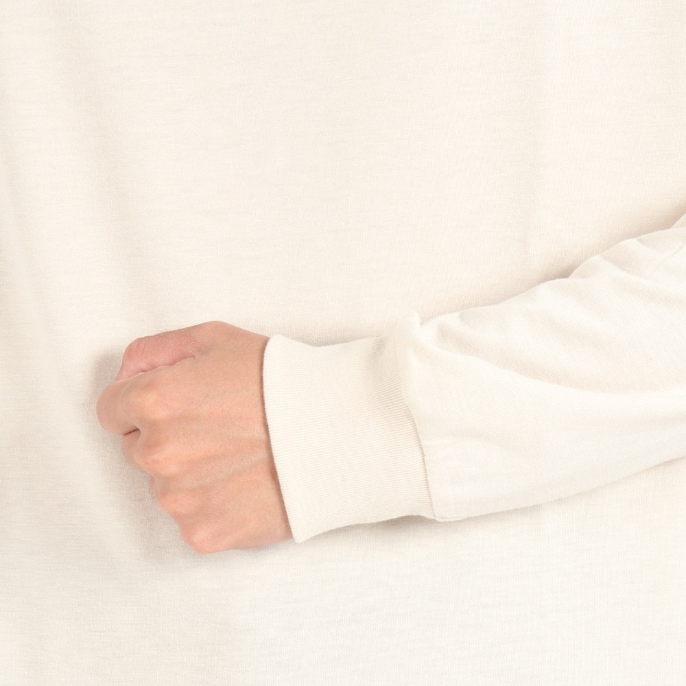 ハーレー（HURLEY）（メンズ）カットソー 長袖 ベージュ SLEEVE LOGO 長袖Tシャツ MLS2312031-NTL