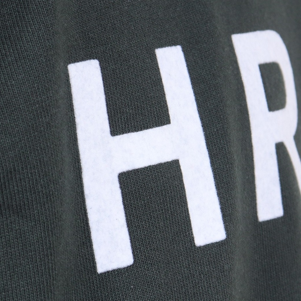ハーレー（HURLEY）（メンズ）オーバーサイズ ブランドロゴ 長袖Tシャツ 23MLS2200001-DFR