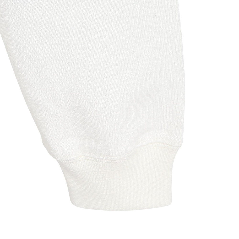 ルーカ（RVCA）（メンズ）PROWN ロングスリーブTシャツ BE042061 ANW