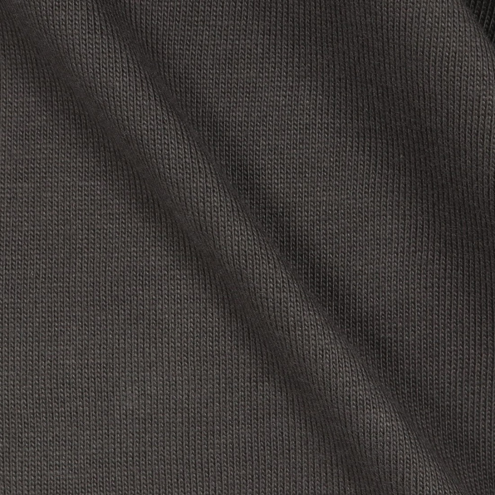 ルーカ（RVCA）（メンズ）RECESSION ロングスリーブTシャツ BE042064 PTK