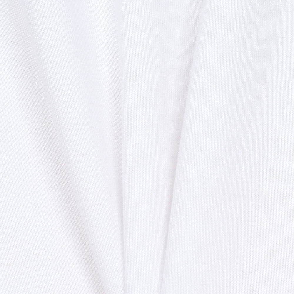 ルーカ（RVCA）（メンズ）RECESSION ロングスリーブTシャツ BE042064 WHT