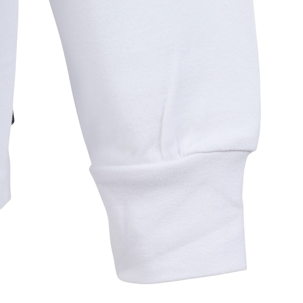 ディーシーシューズ（DC SHOES）（メンズ）24 8 BALL&DICE 長袖Tシャツ 24FWDLT244077WHT