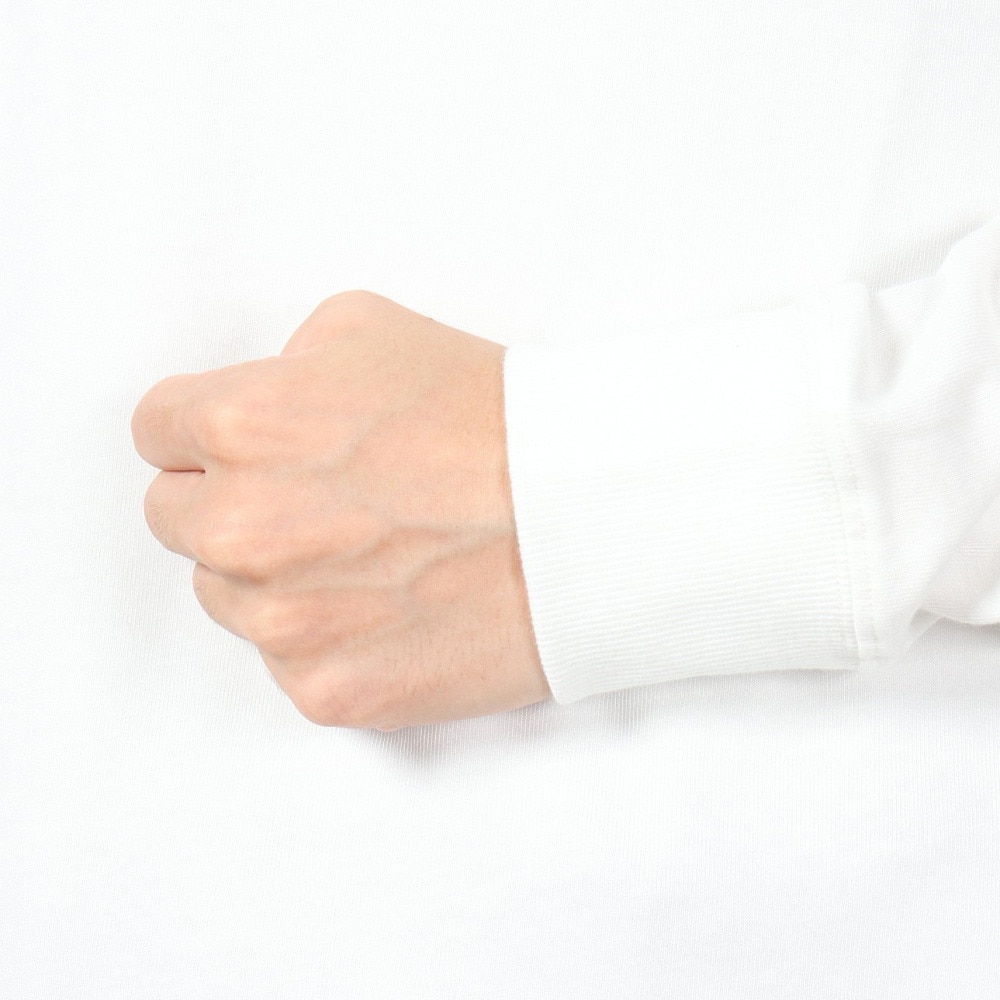 セッションズ（SESSIONS）（メンズ）TEAM VAN ロングスリーブTシャツ 247207 WHT