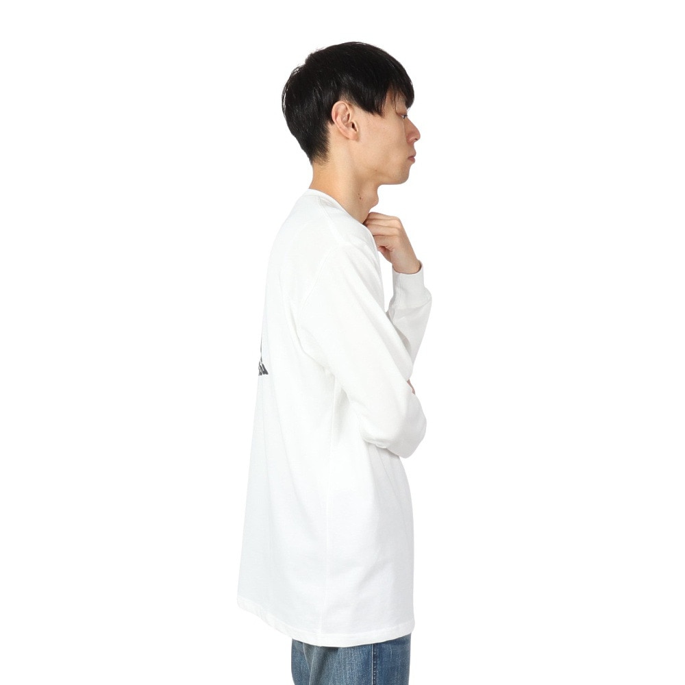 セッションズ（SESSIONS）（メンズ）CRUSH CAN ロングスリーブTシャツ 247208 WHT
