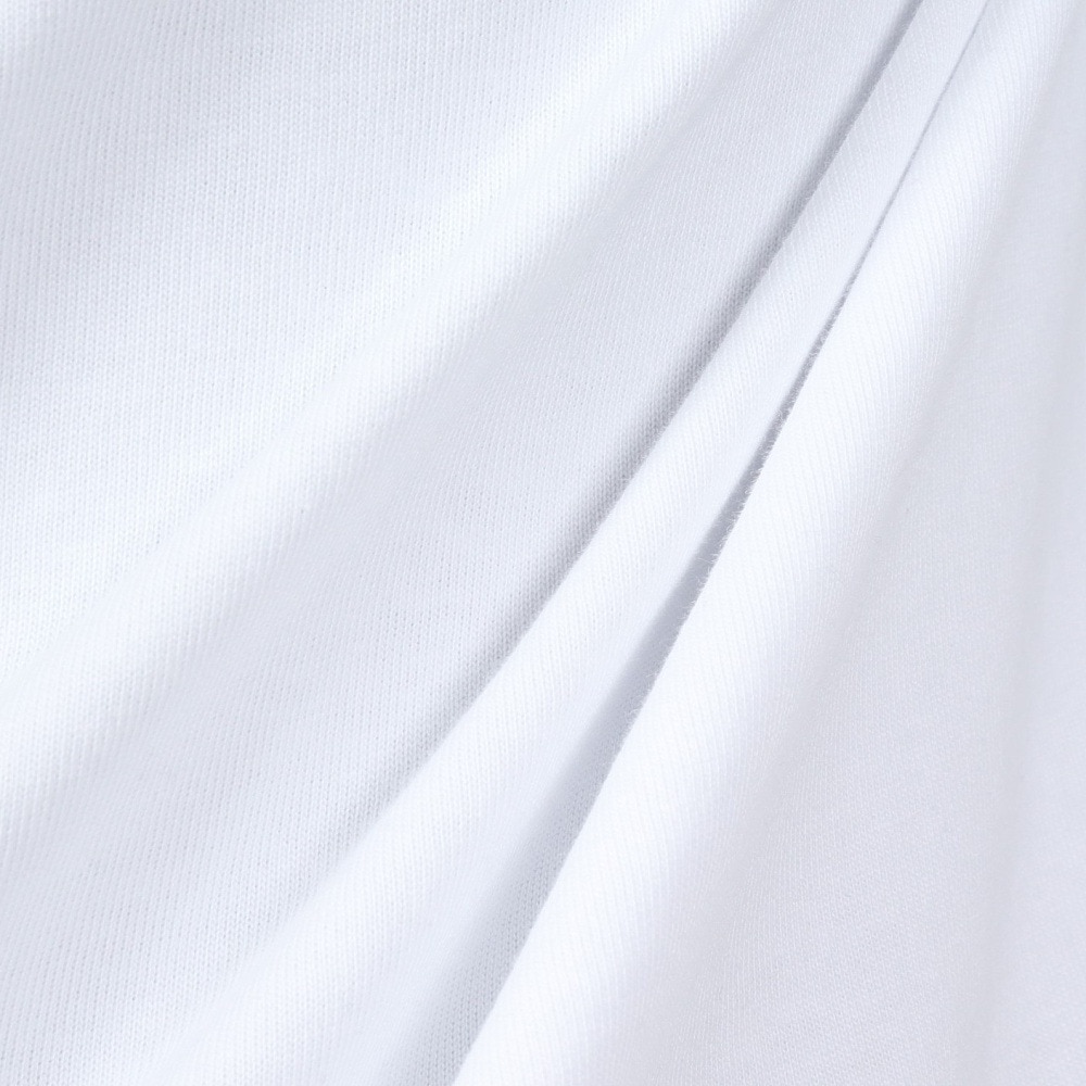 ハーレー（HURLEY）（メンズ）TRIBAL LOGL ロングスリーブTシャツ 24XBMCLS030-WHT