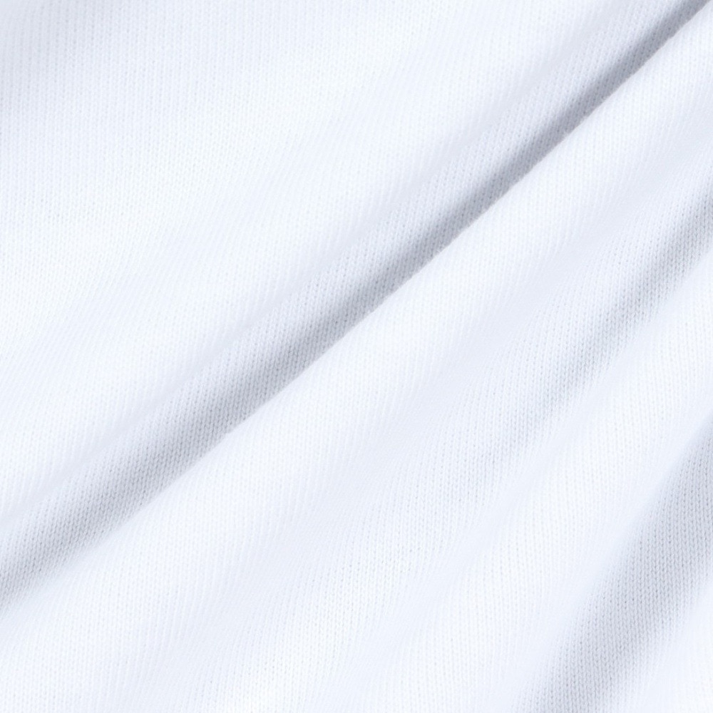 ハーレー（HURLEY）（メンズ）TRIBAL LOGL ロングスリーブTシャツ 24XBMCLS031-WHT
