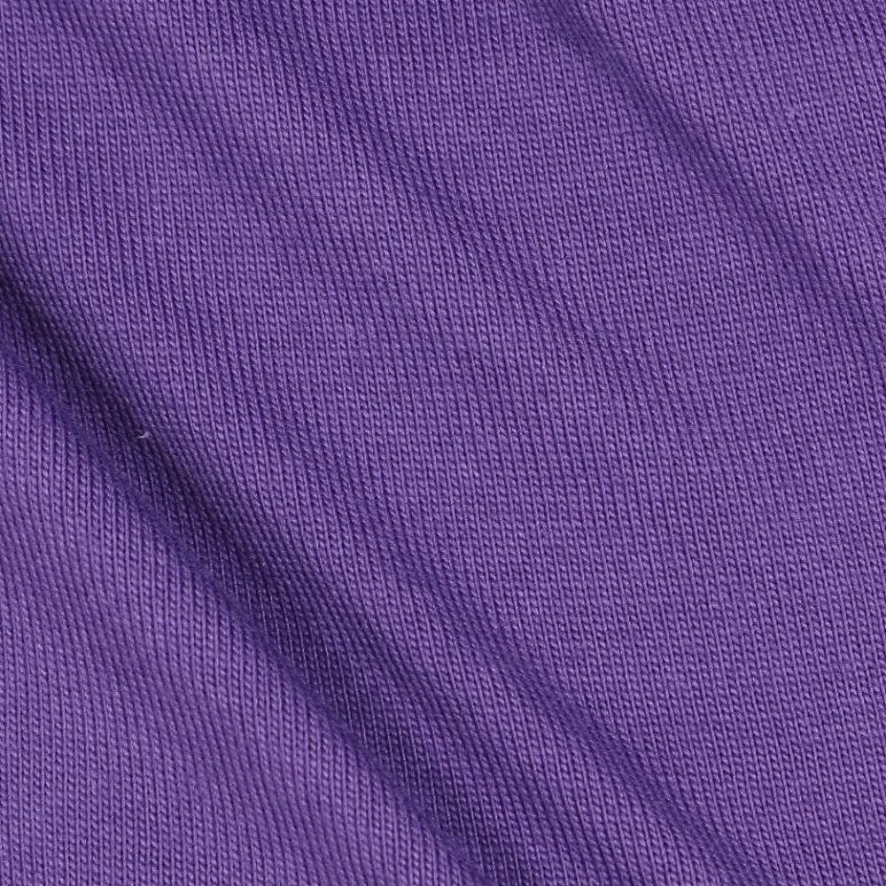 スライド（SLYDE）（メンズ）ロゴ ロングスリーブTシャツ SL24FWM-APP001PUL
