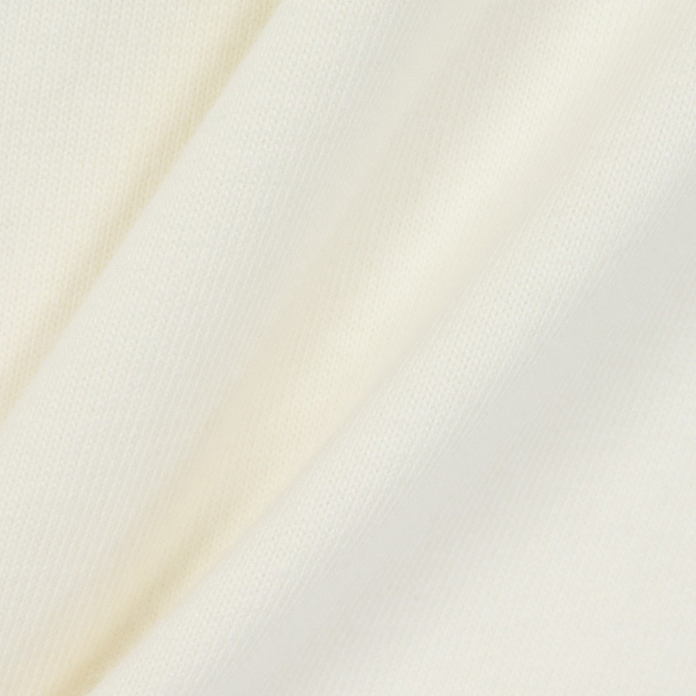 ルーカ（RVCA）（メンズ）長袖Tシャツ BF042051 ANW