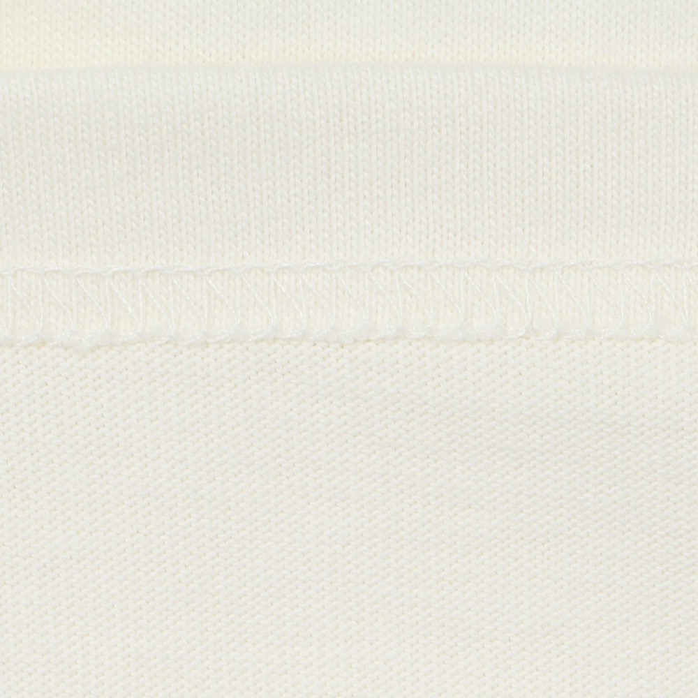 ルーカ（RVCA）（メンズ）長袖Tシャツ BF042051 ANW