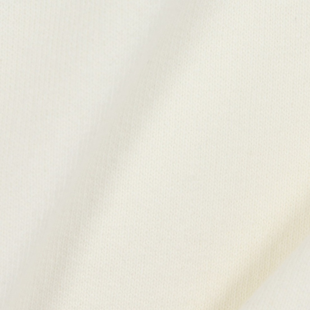 ルーカ（RVCA）（メンズ）BLINDER 長袖Tシャツ BF042055 ANW