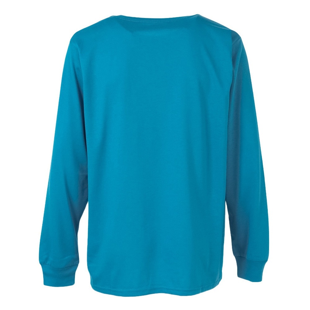 ハーレー（HURLEY）（メンズ）レフト チェスト ワン アンド オンリー 長袖Tシャツ MCLS252069-BLE