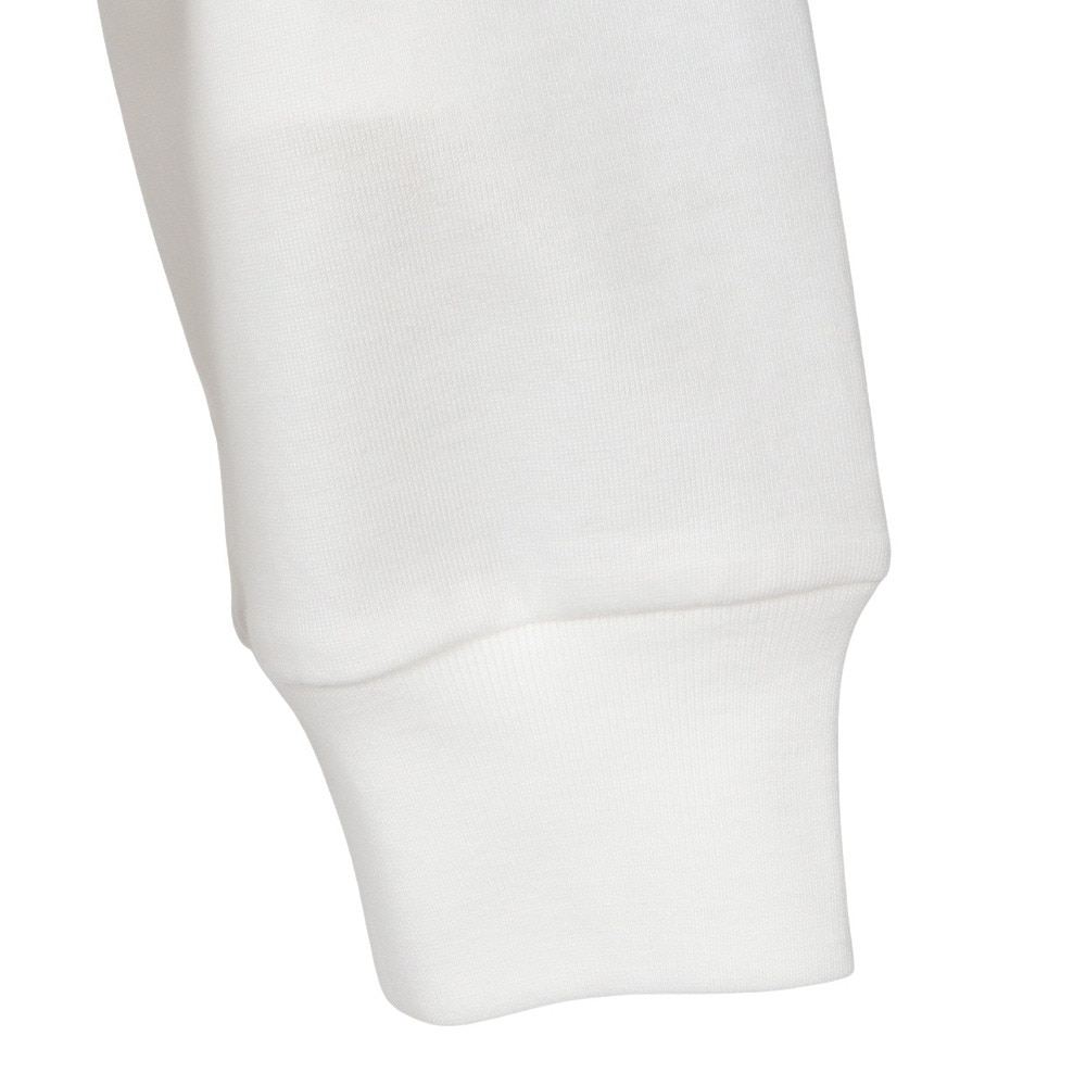 ハーレー（HURLEY）（メンズ）LC OAO 長袖Tシャツ MCLS252069-WHT