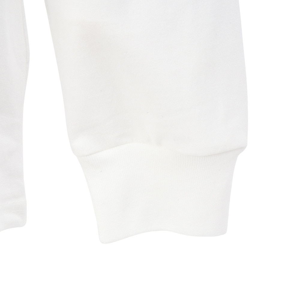 ハーレー（HURLEY）（メンズ）ボルケーノ 長袖Tシャツ MCLS252091-WHT