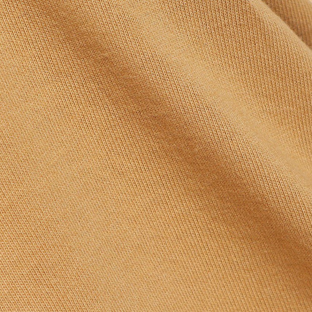 クイックシルバー（Quiksilver）（メンズ）THE GOLDY 半袖Tシャツ 22SPQST221207YBGE