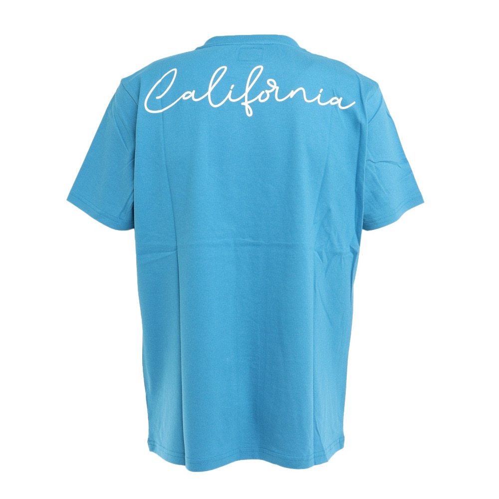 エアボーン（ARBN）（メンズ）ボタニカル半袖Tシャツ 013SS-BLU